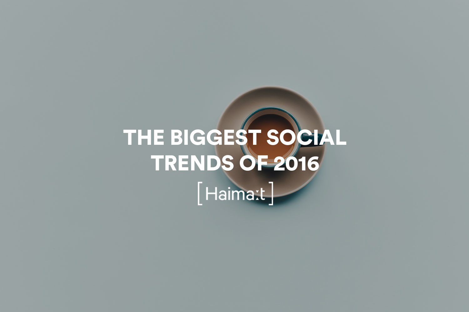 Social Trends 2016