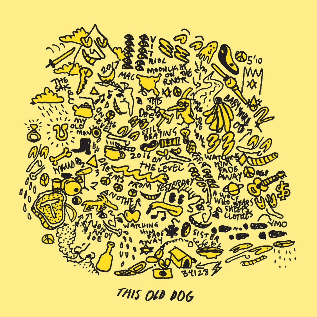 This Old Dog album by Mac Demarco